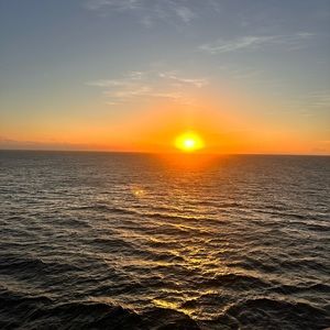 Posting for live show